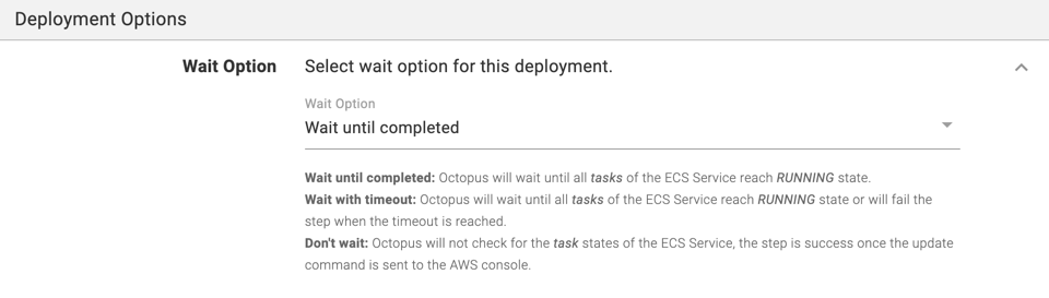 ECS Step Deployment Options section